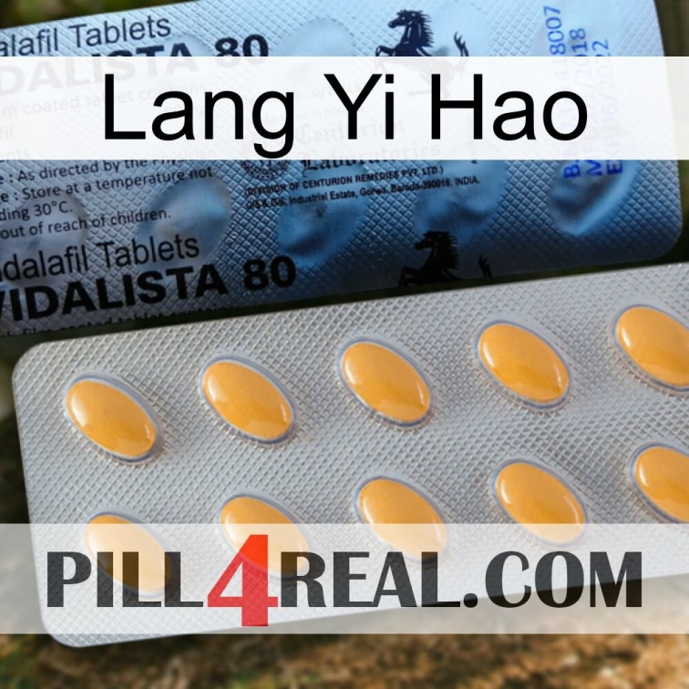 Lang Yi Hao 44